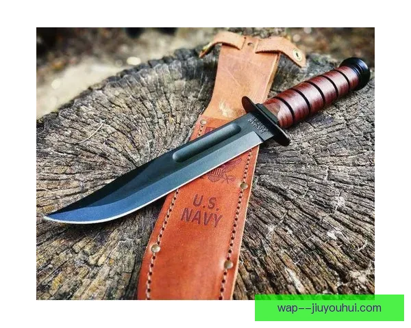 曼丹达老当益壮坚守雷恩城门彰显不屈精神传奇故事