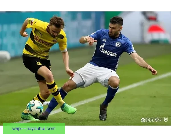 沙尔克04在德乙艰苦鏖战中险胜保级成功